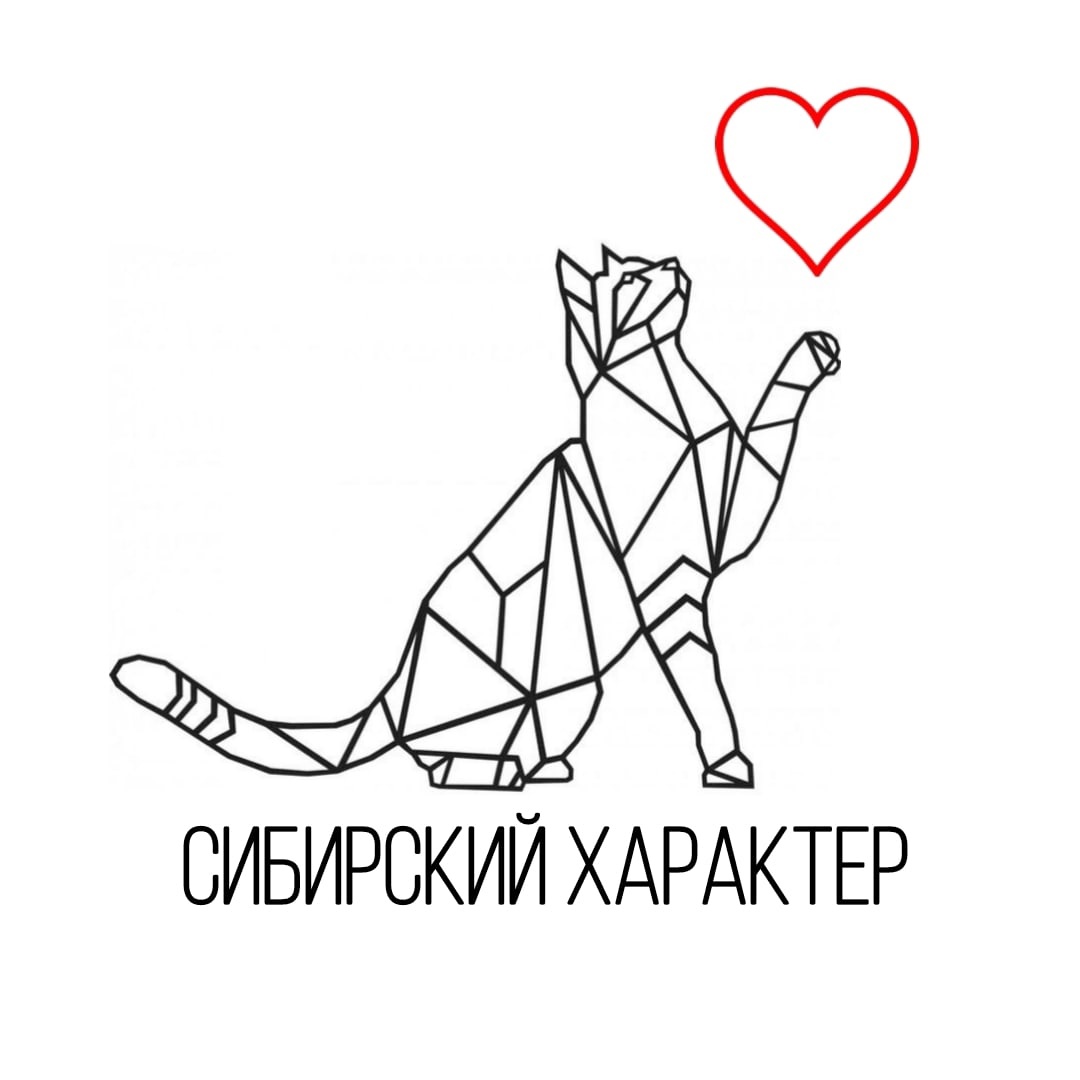 Волонтеры Культуры