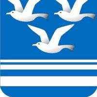 org-icon