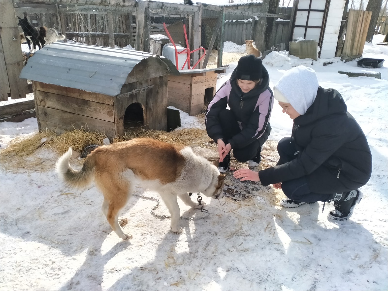 Организация: КООО Зооцентр 