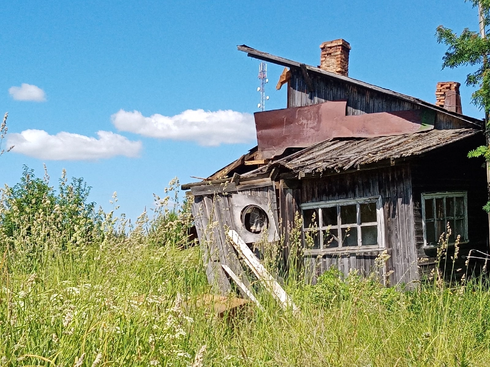 photo