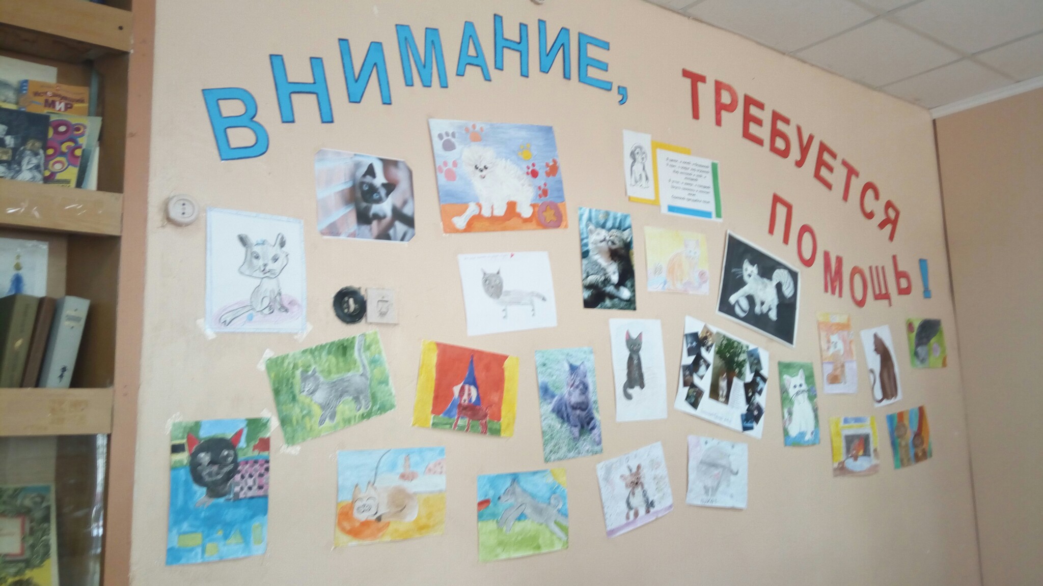 photo