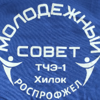 Аватар организатора