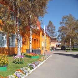 Аватар организатора