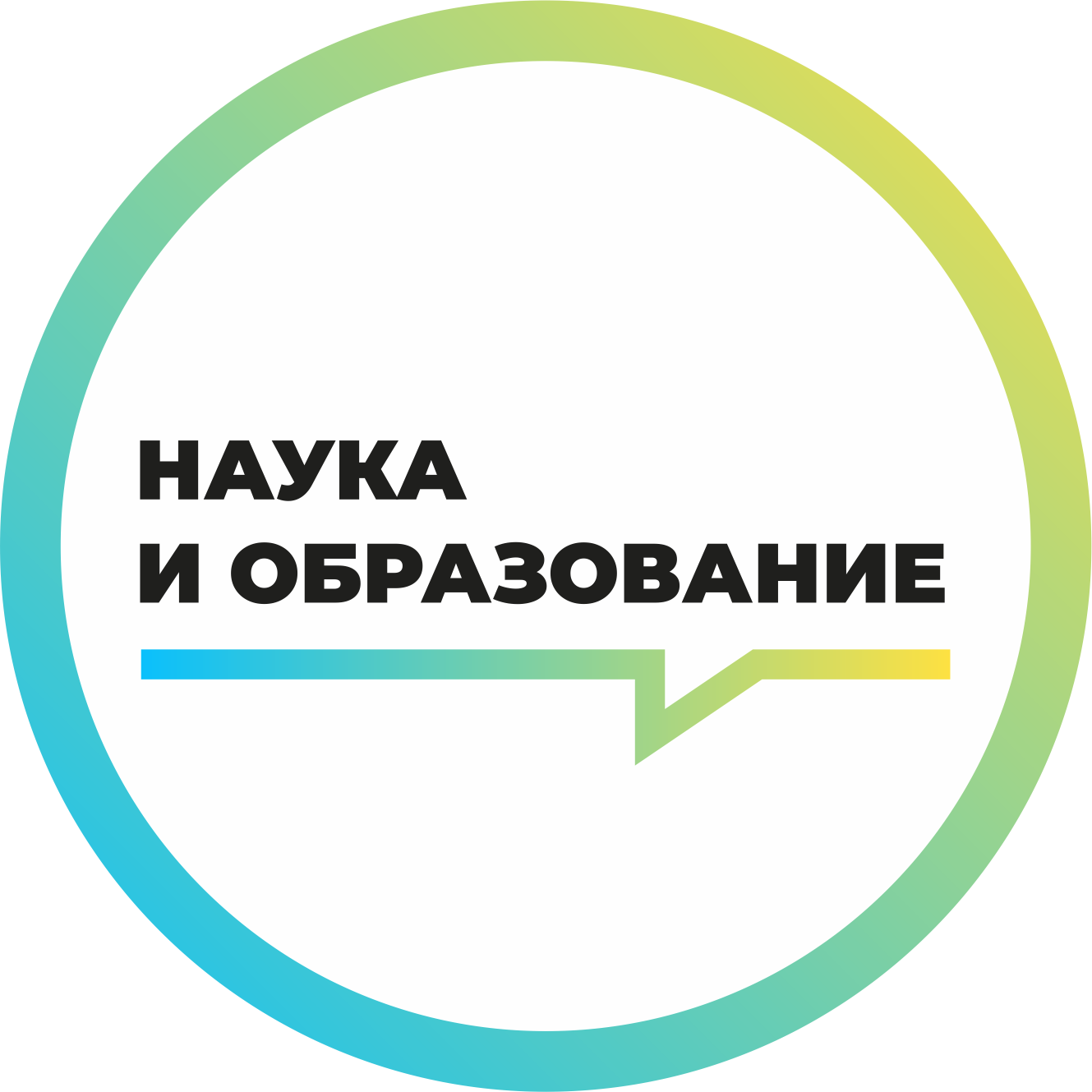 organizer-photo