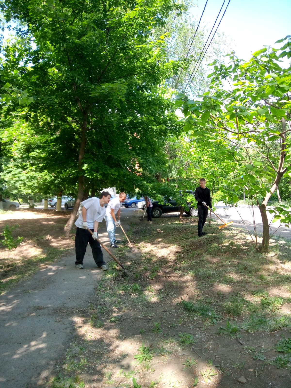 photo
