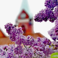 university__photo