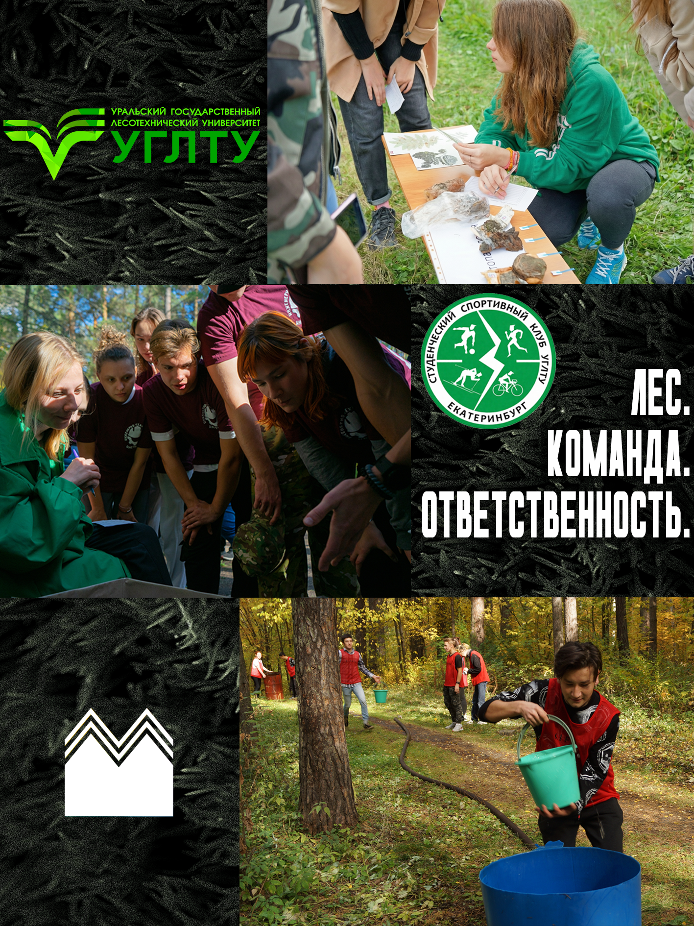 Лес. Команда. Ответственность