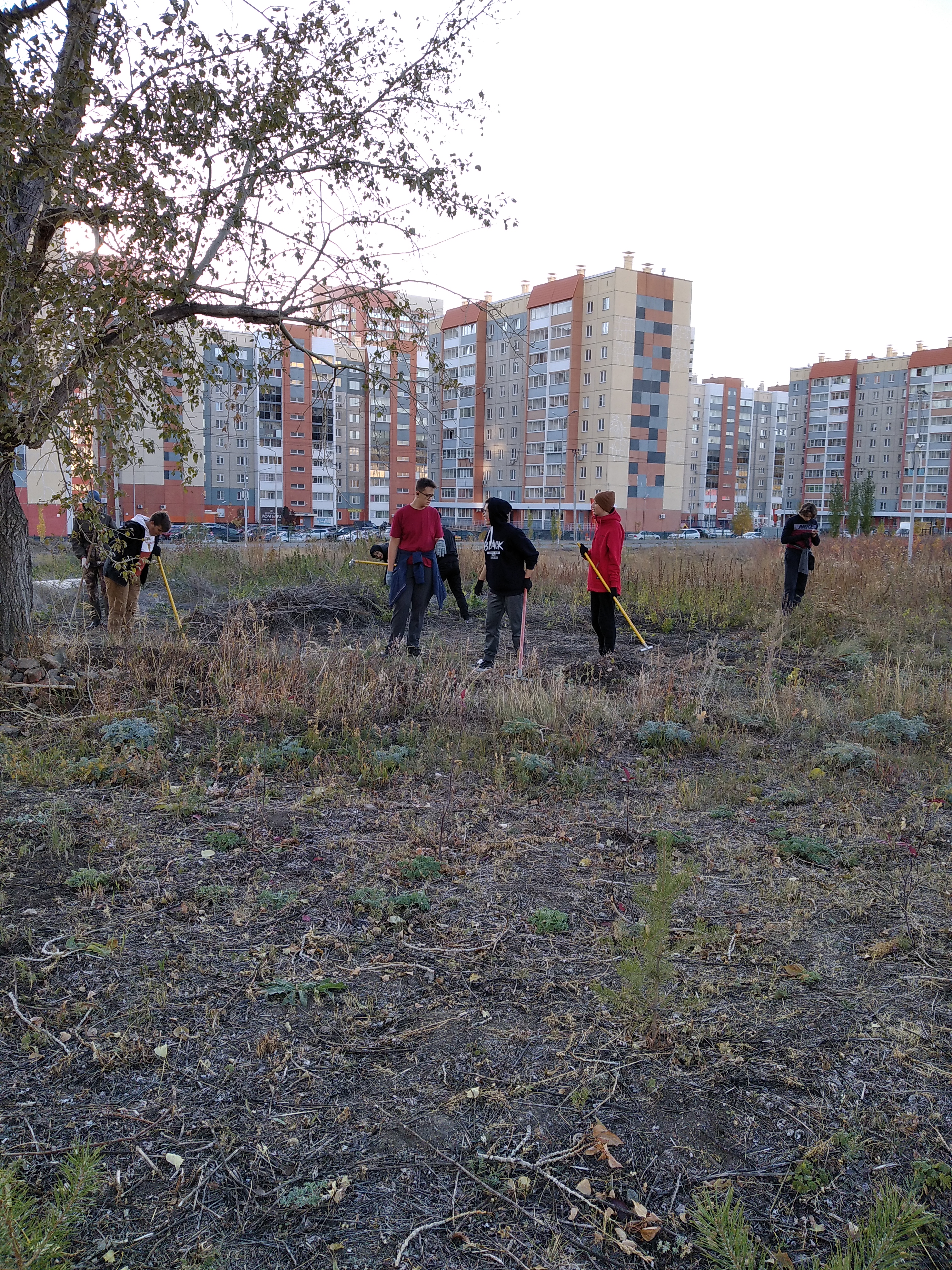 photo