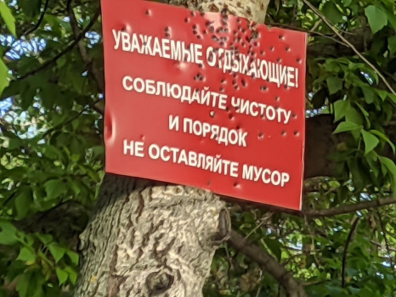photo