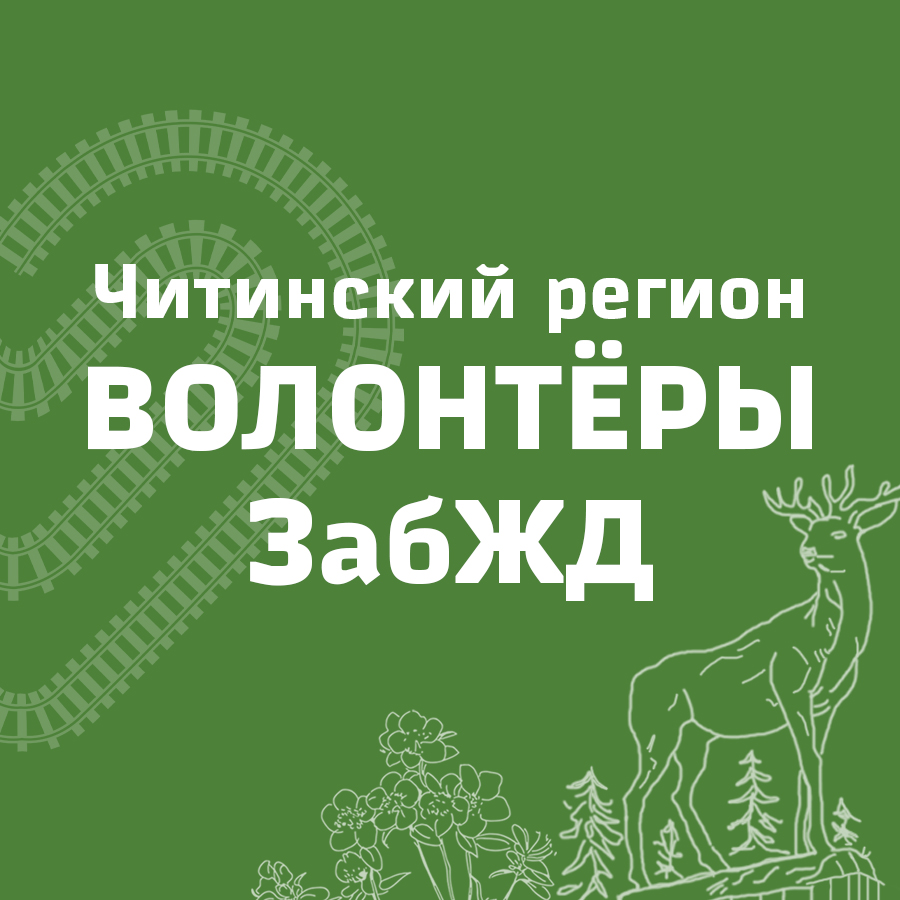 Аватар организатора