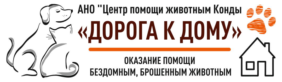 Изображение профиля для АНО "Дорога к дому"