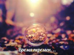 Без названия.jpg