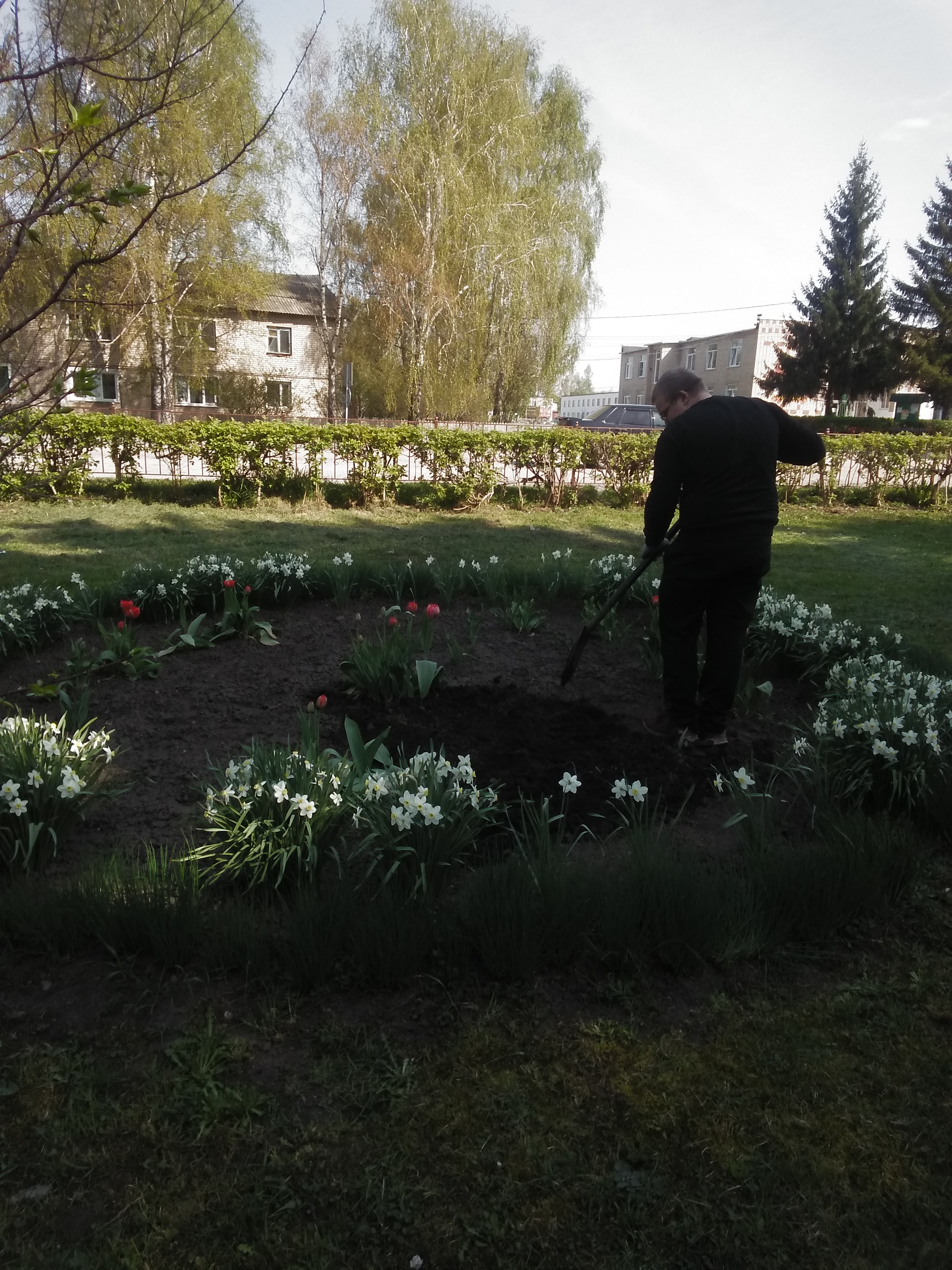 photo