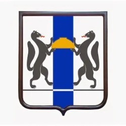 Проведение регионального конкурса на право стать лицом информационной кампании «Чтобы помогать, не нужен костюм супергероя»