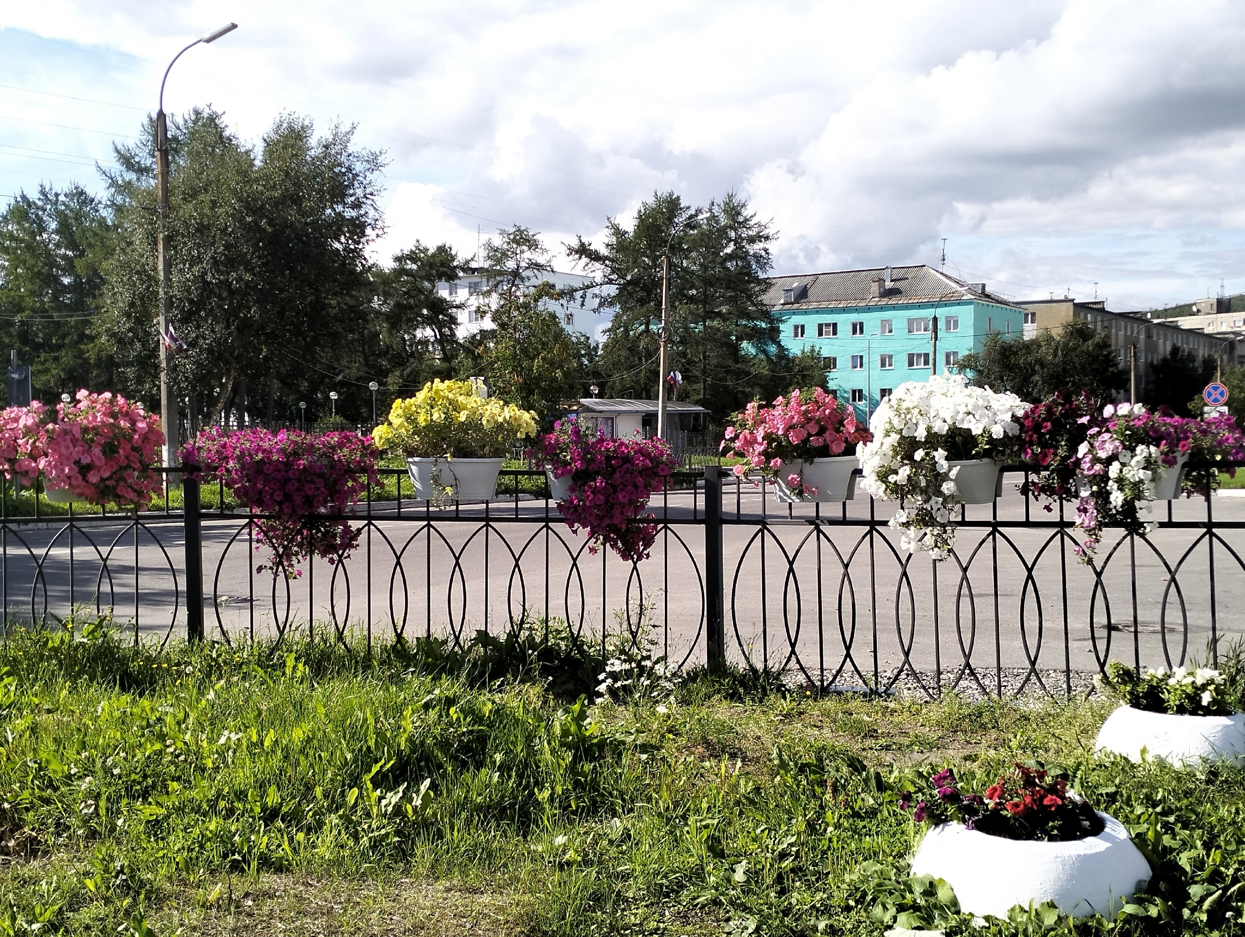 photo