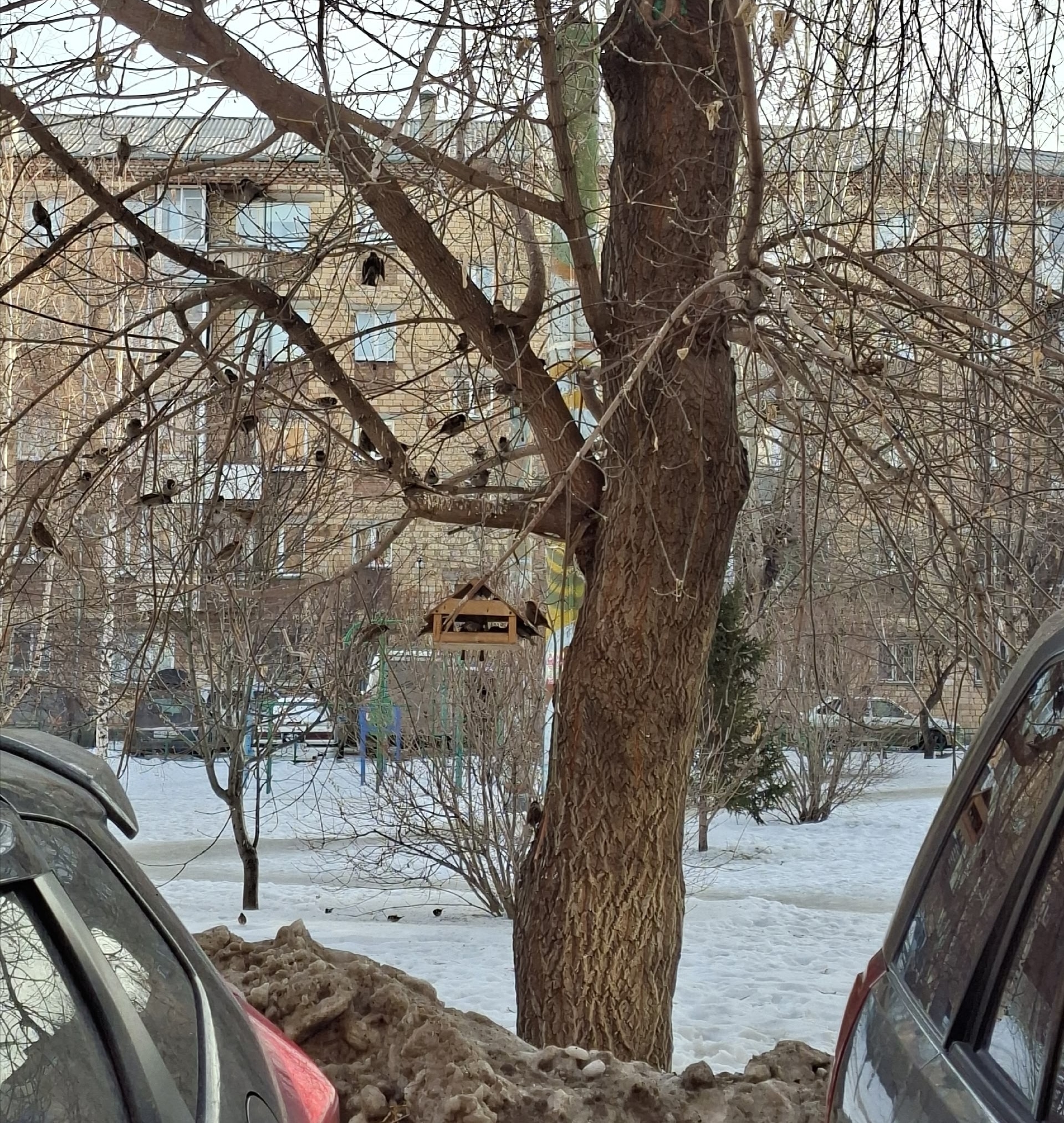 photo