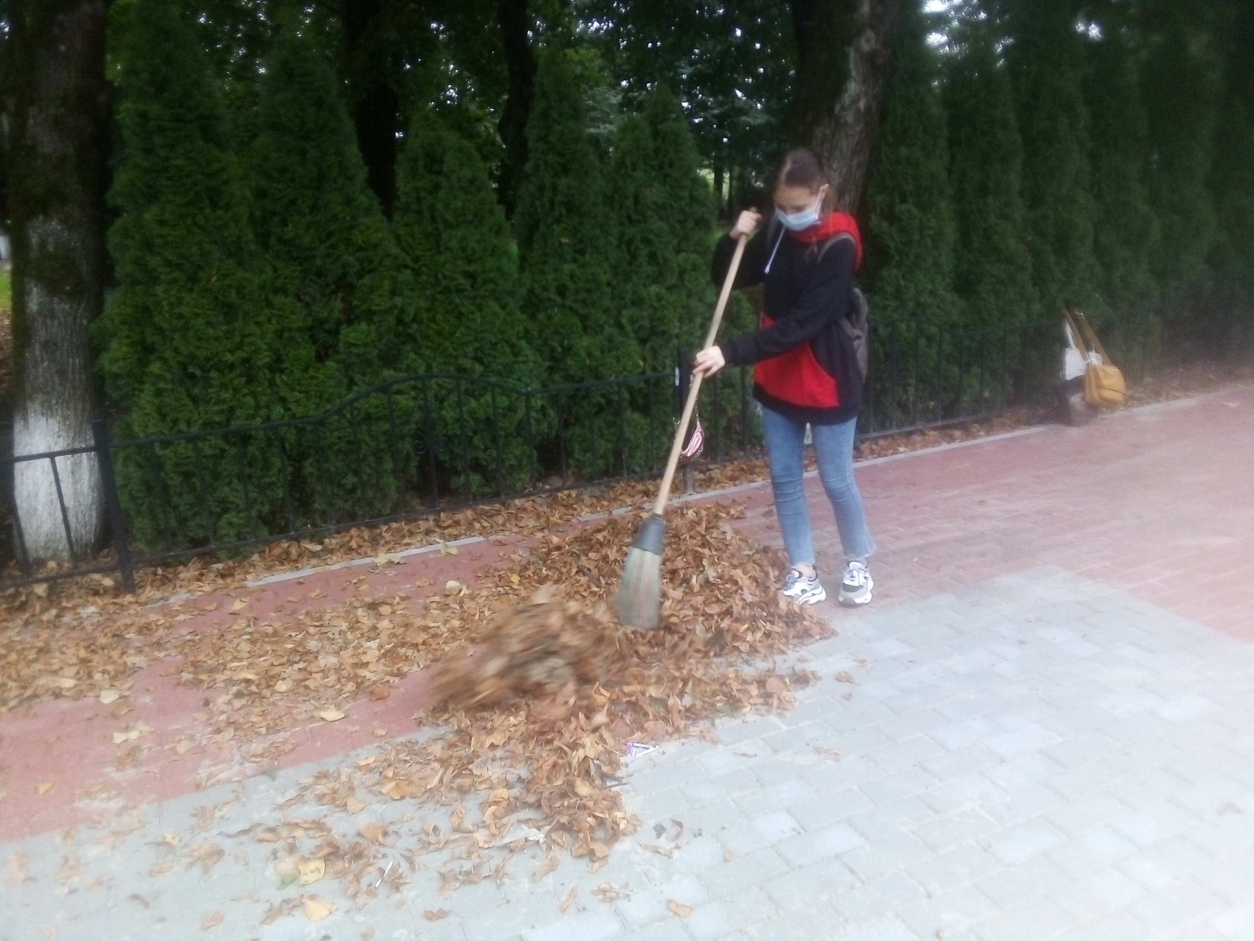 photo