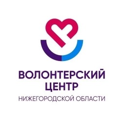 Организационная помощь при проведении мероприятий в сфере добровольческого движения