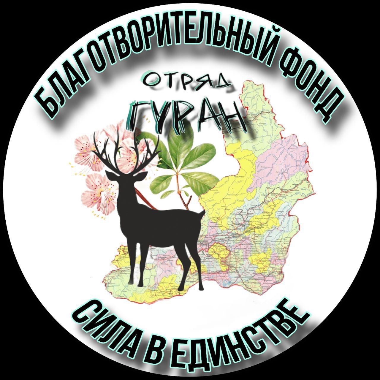 БФ Гуран.jpeg