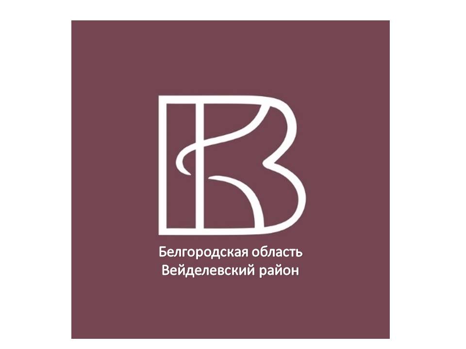 Аватар организатора