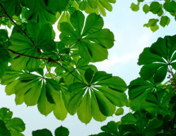 16af766e-a168-72a1-e144-c586fd087c81.png