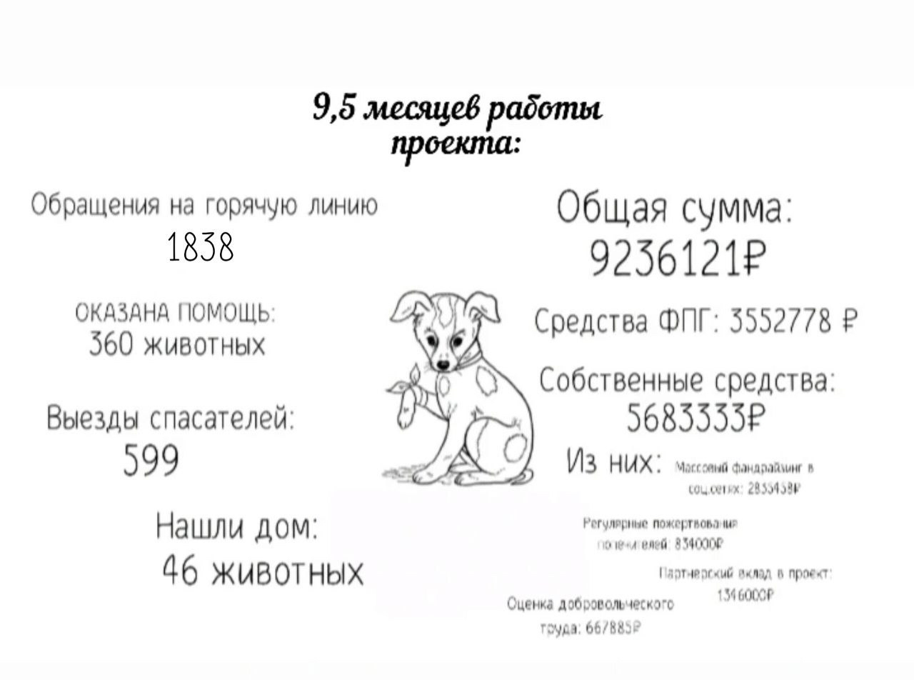 Проект 911 - служба спасения животных. Охват проекта: Севастополь ID:  10056535 | DOBRO.RU