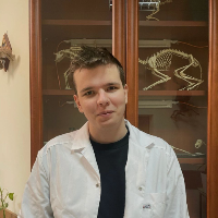 Аватар