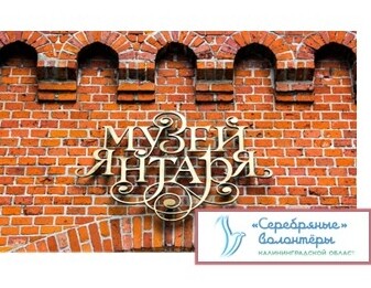 Создание корпуса волонтёров для оказания помощи Калининградскому музею Янтаря.