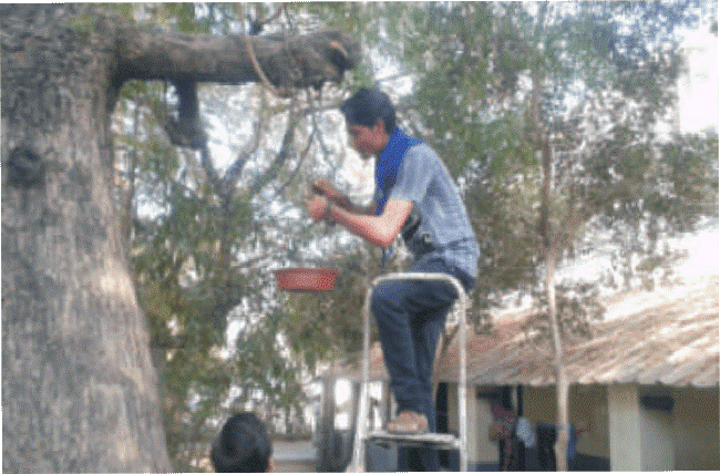 photo