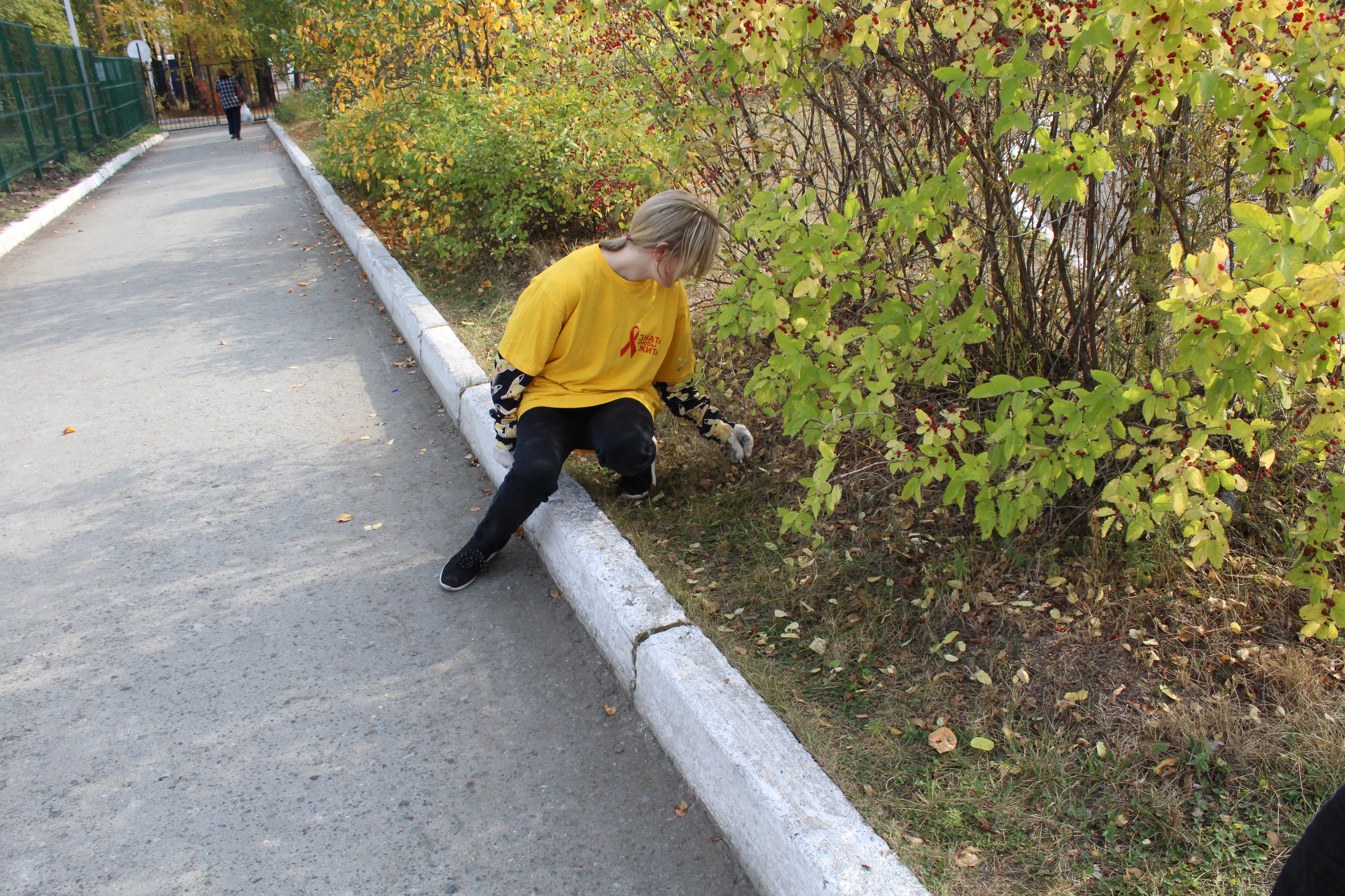 photo