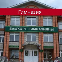 Аватар организатора