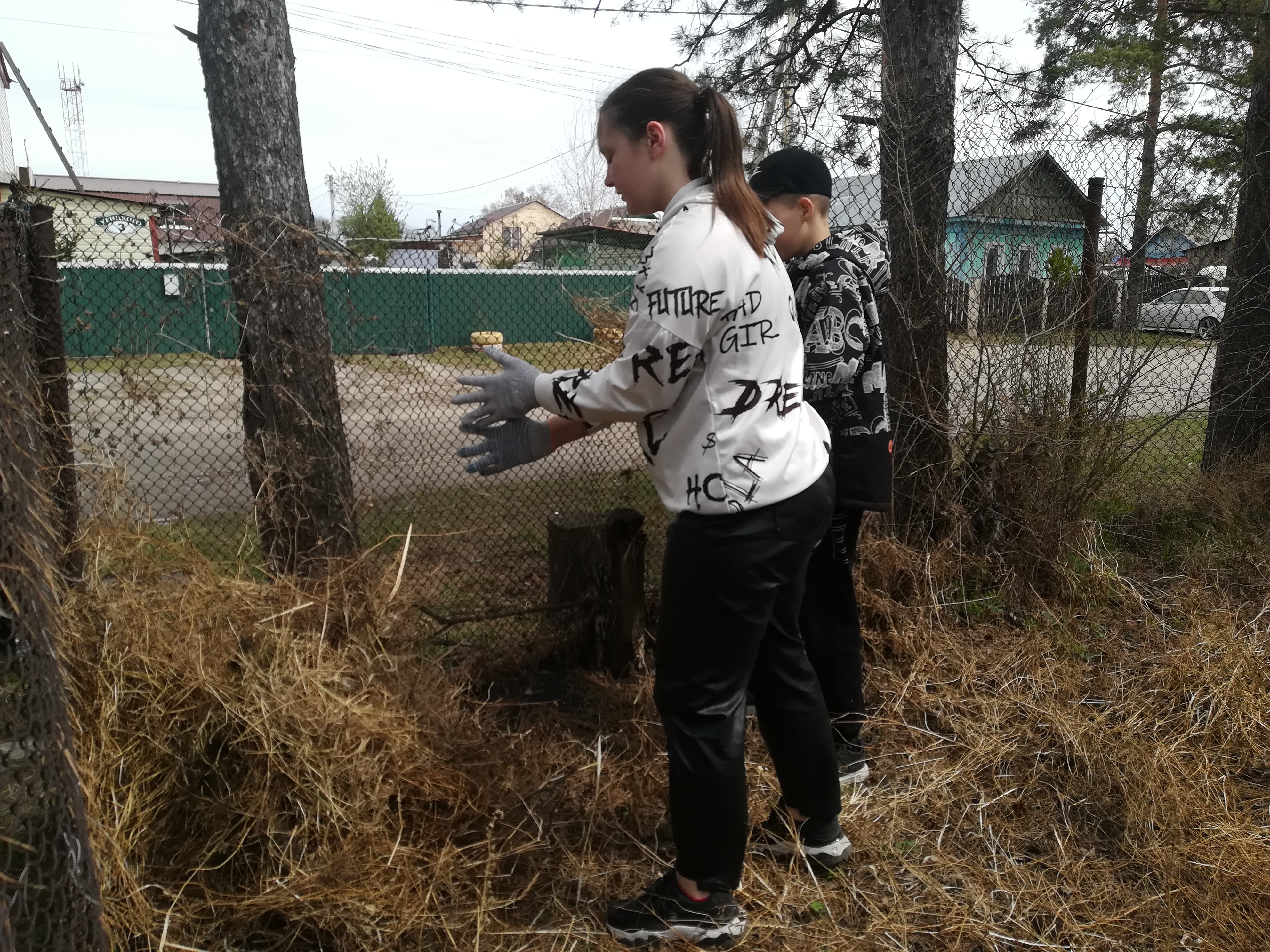 photo