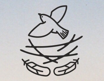 Научное волонтерство: Перья, гнёзда, два крыла