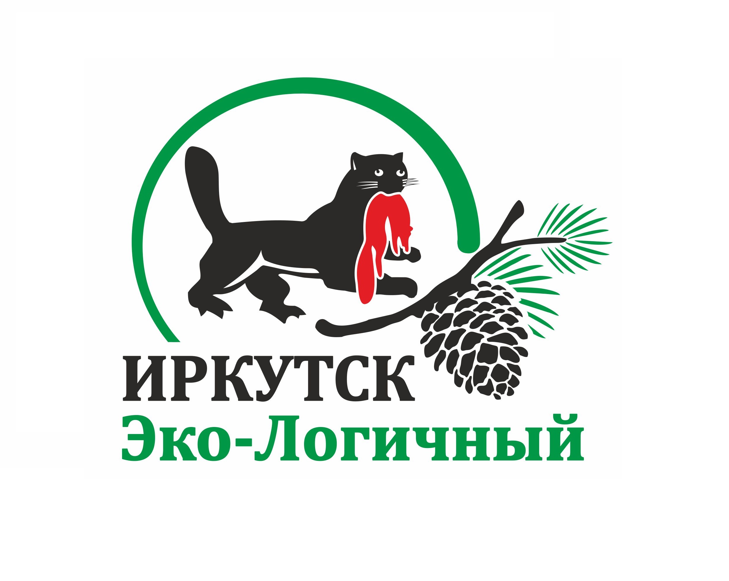 иркутск экологичный - дополнительно.jpg