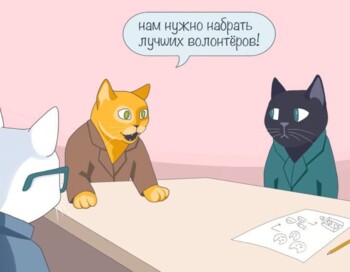 Поиск волонтёров для ухода за кошками