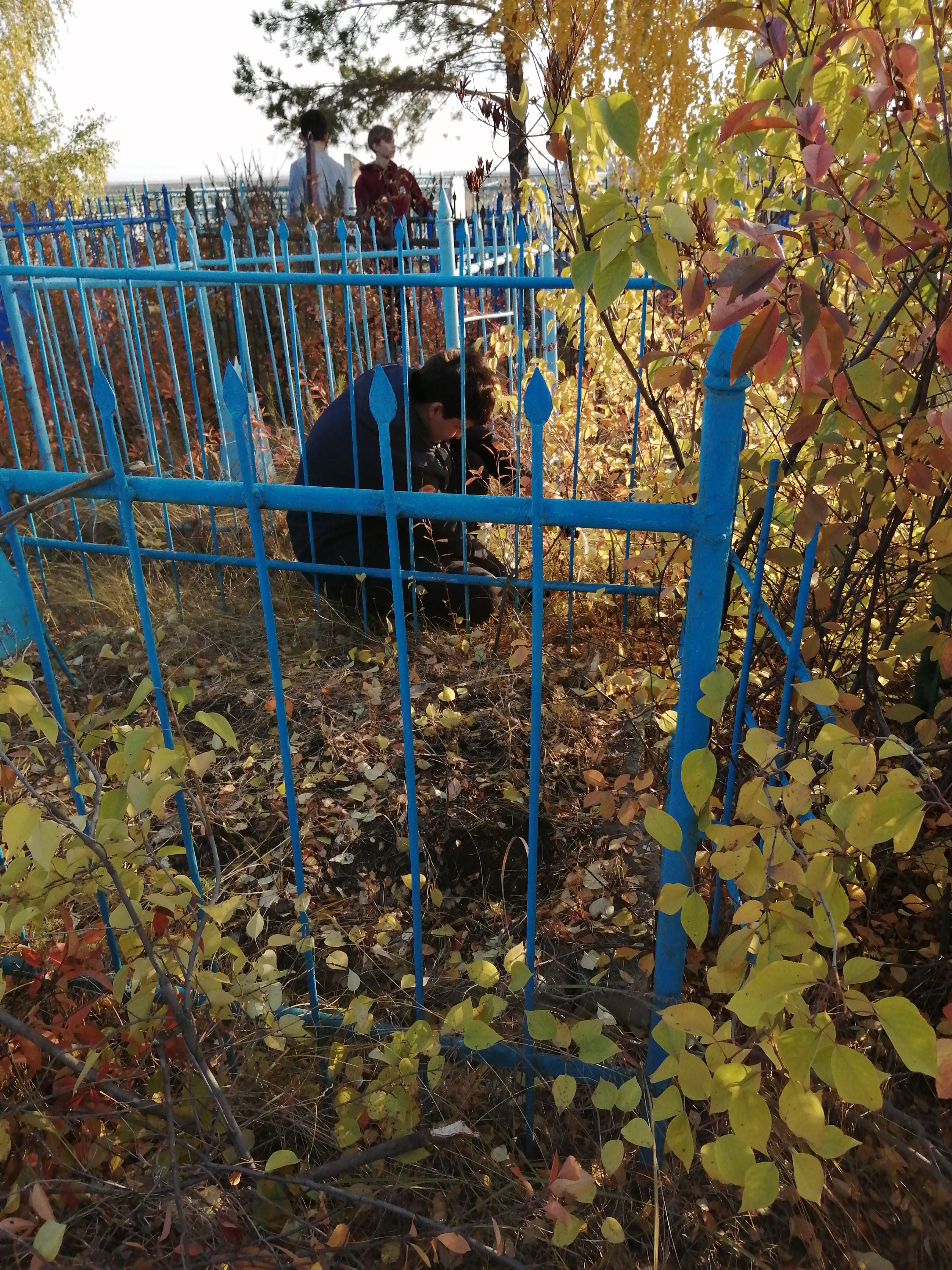 photo