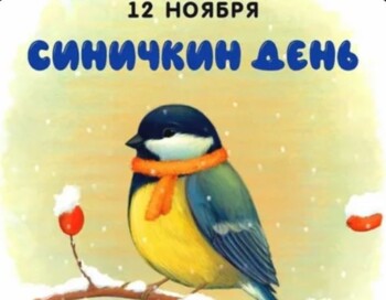 ДС Елочка Акция «День зимующих птиц. Синичкин день»
