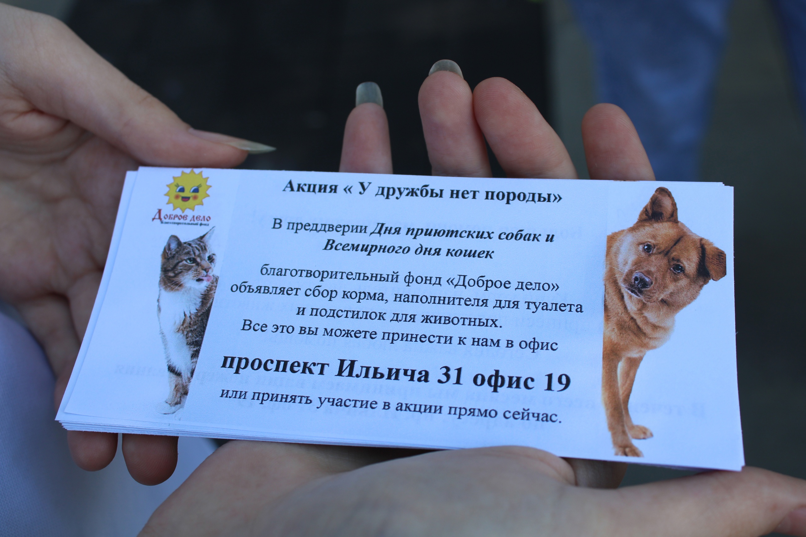 photo