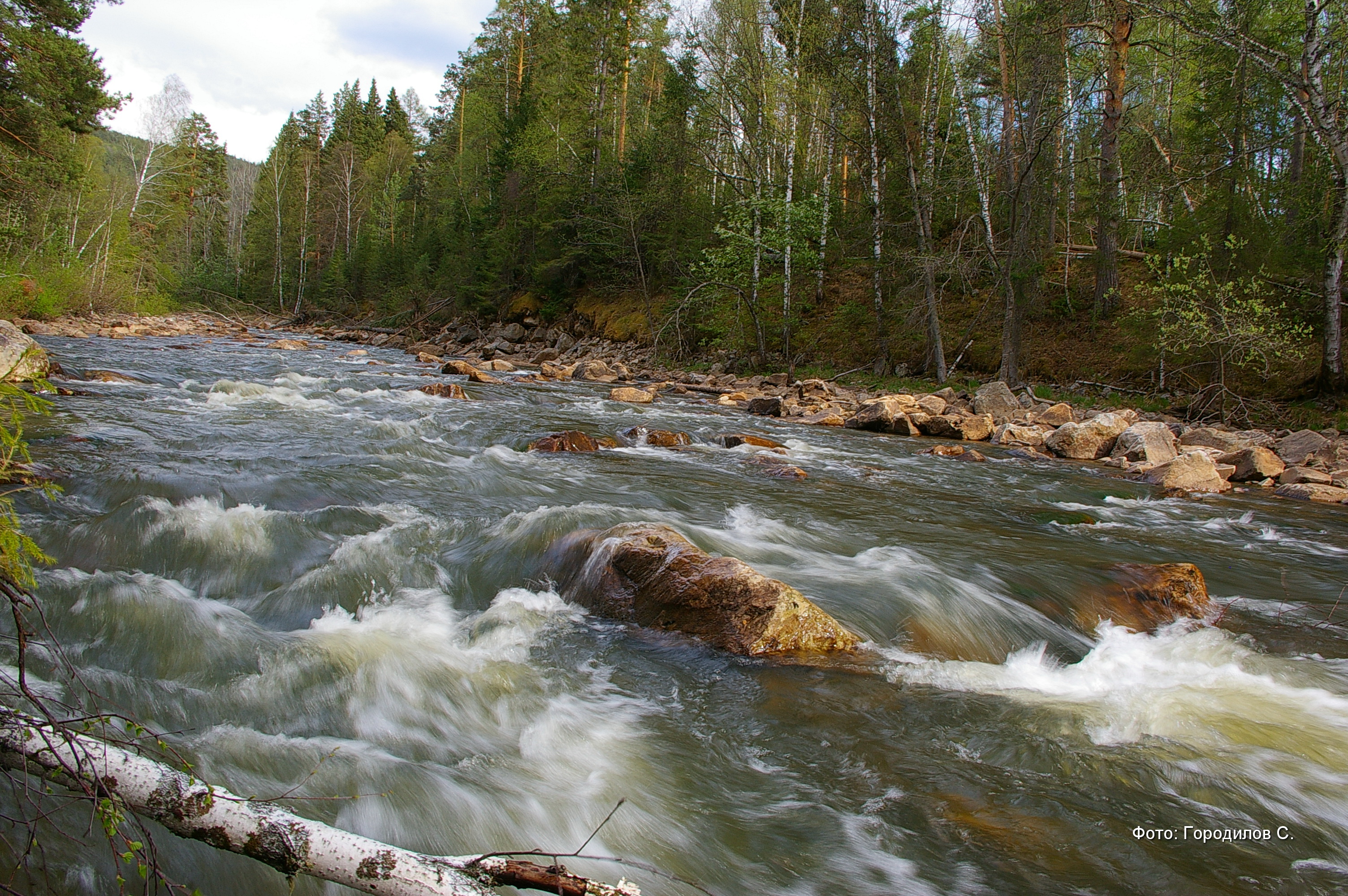 photo