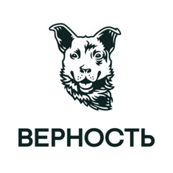 c1f4104c-b36f-acce-c34b-3c78142a52bc.jpg