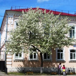 Аватар организатора