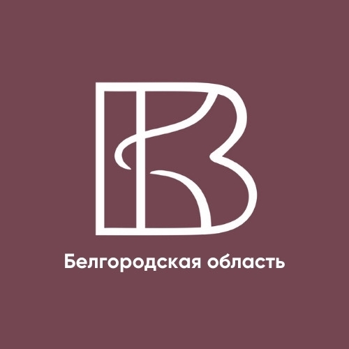 Аватар организатора