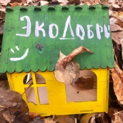 organizer-photo