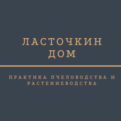 university__photo