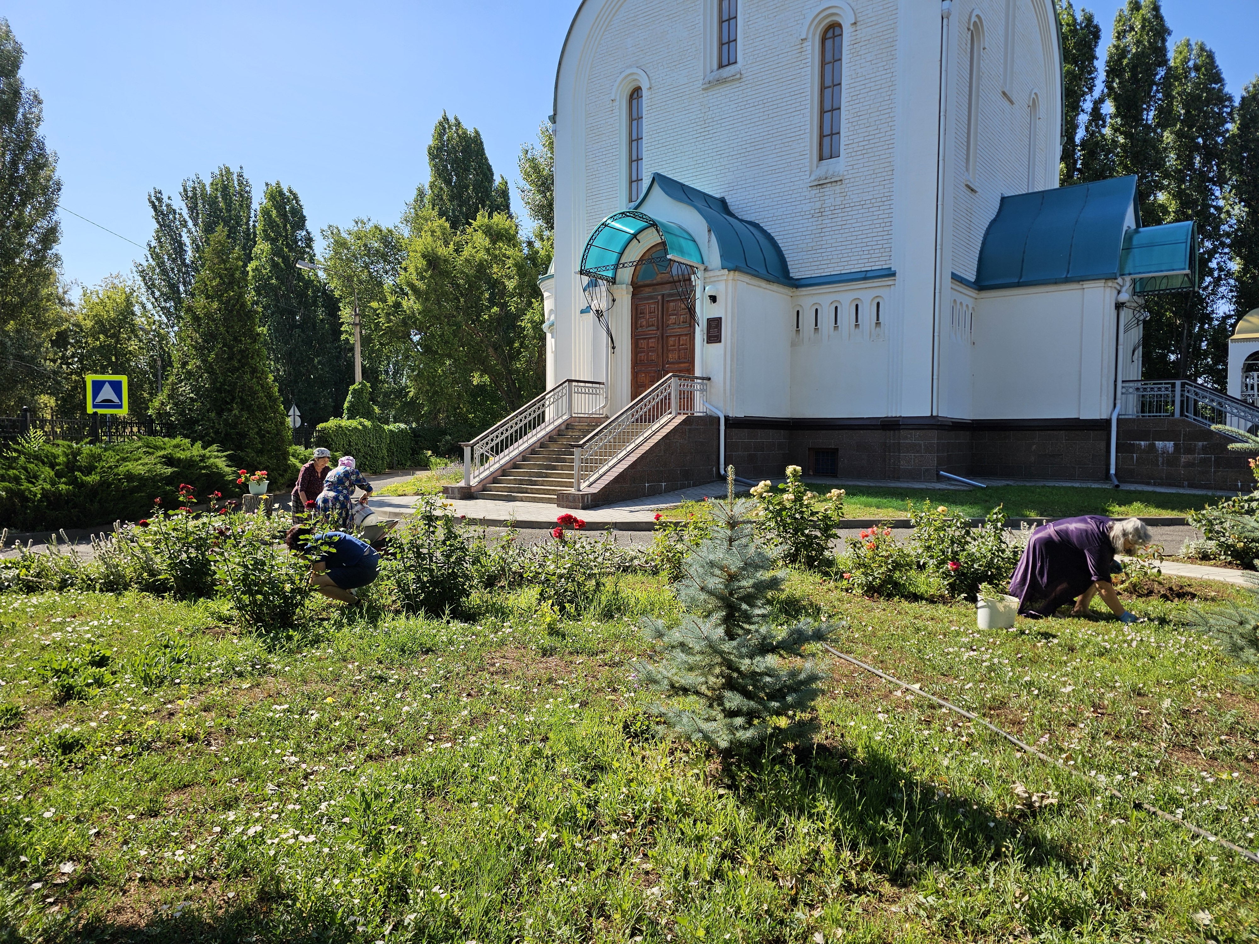 photo