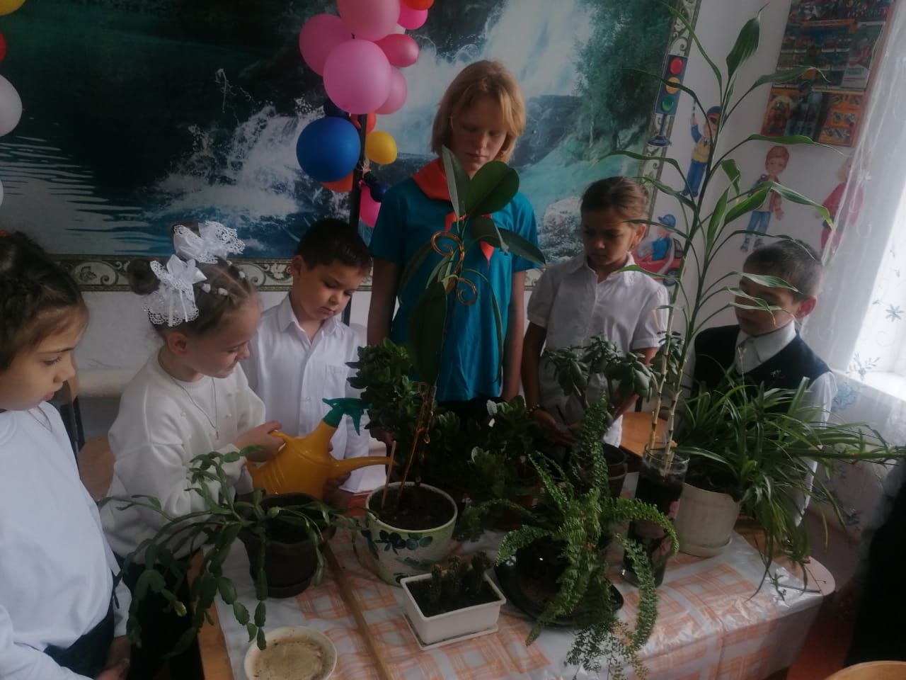 photo