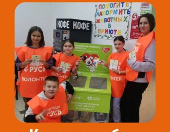 "Корзина доброты" - сбор кормов для бездомных животных