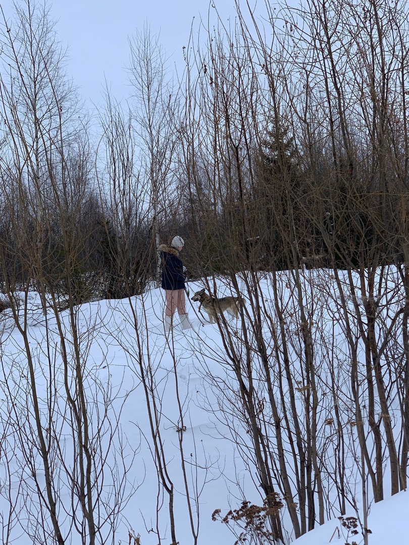 photo