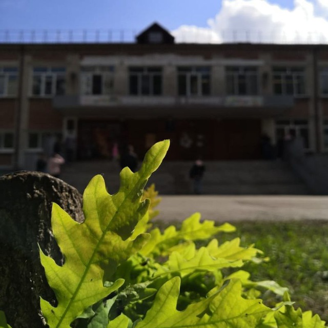 МАОУ СОШ 49.jpg