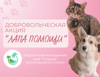 Добровольческая акция " Лапа помощи"